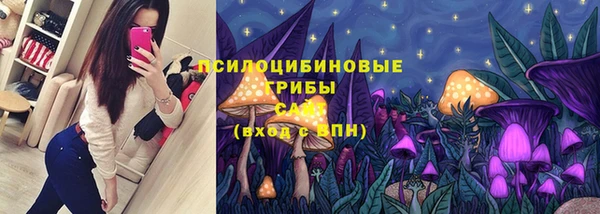 стафф Баксан